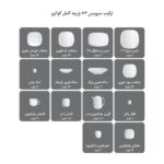 سرویس 73 پارچه چینی زرین کواترو طرح ادلین طوسی - Image 6